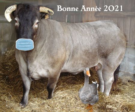 Bonne année 2021 Bonne année 2021